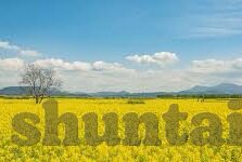 不卡免费一区二区日韩av-解锁全球影视新视界，探索不卡免费一区二区日韩AV的多元魅力