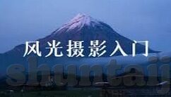 大象传媒网站网址-大象传媒，网络文化的广阔舞台