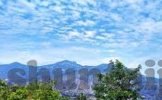 果冻传媒毛片-探索果冻传媒的创意与艺术边界，毛片背后的故事