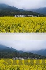 旧版糖心vlog官网入口91-探索旧版糖心Vlog，一个曾经风靡的平头世界