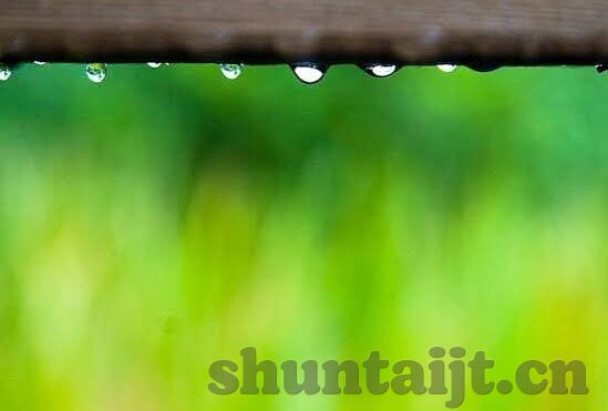久草在线中文字幕视频观看-探索成人内容平台的多元性与文化边界——以久草在线中文字幕视频为例