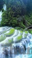 企业伦理-塑造企业伦理，构建可持续发展的基石