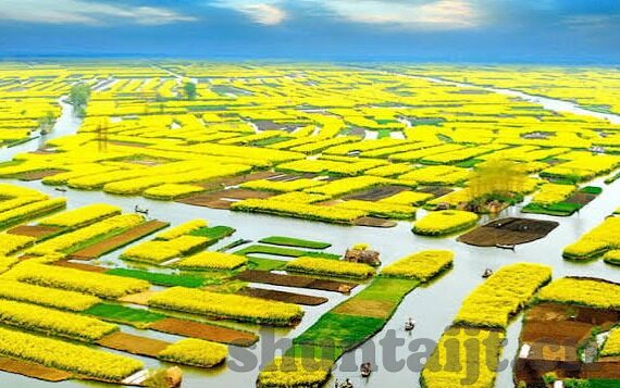 糖心入口-品味至口福——糖心入口的细腻诱惑